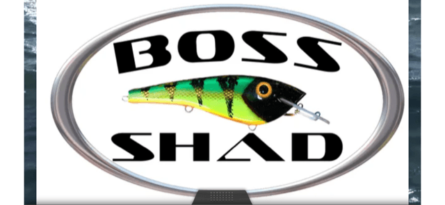 Boss Shad